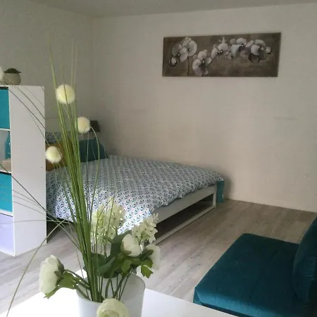 Terrasse Vieux Port-centre Historique